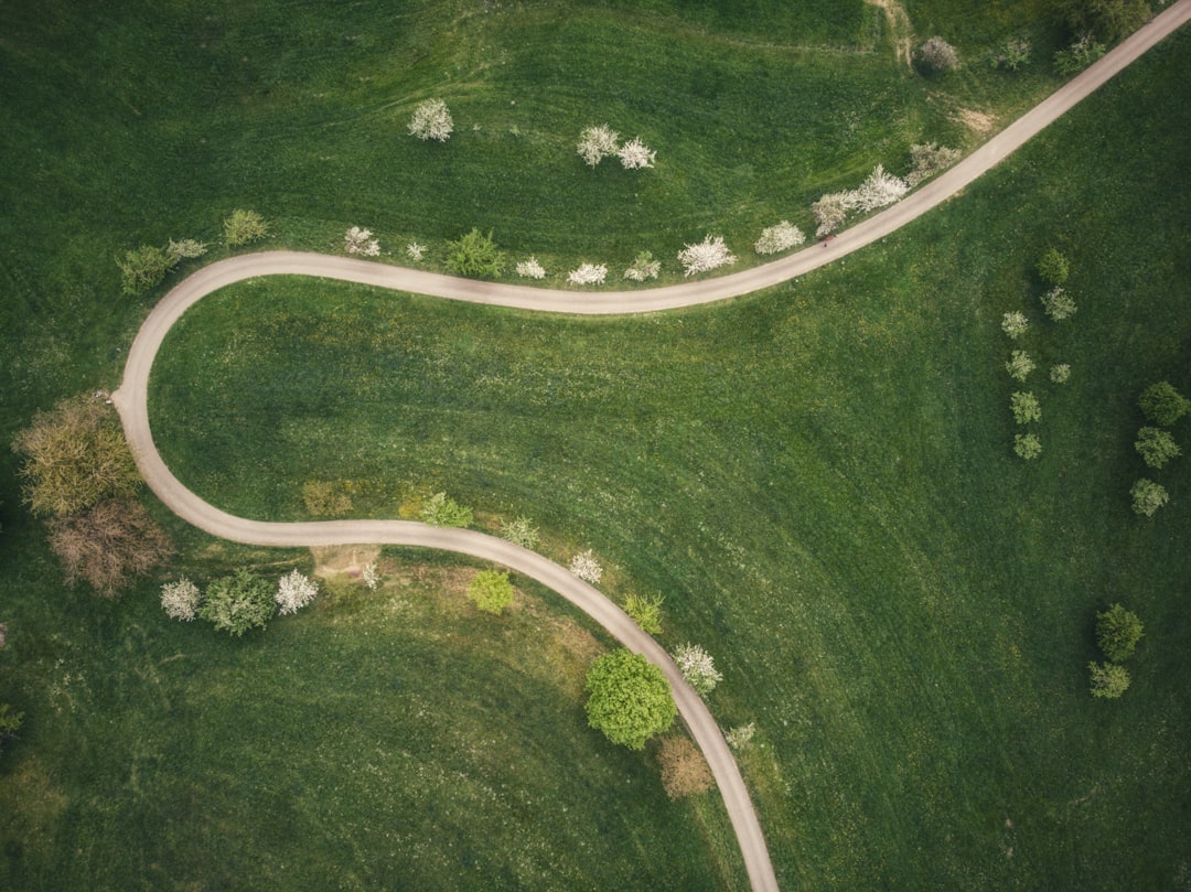 Photo publishing path